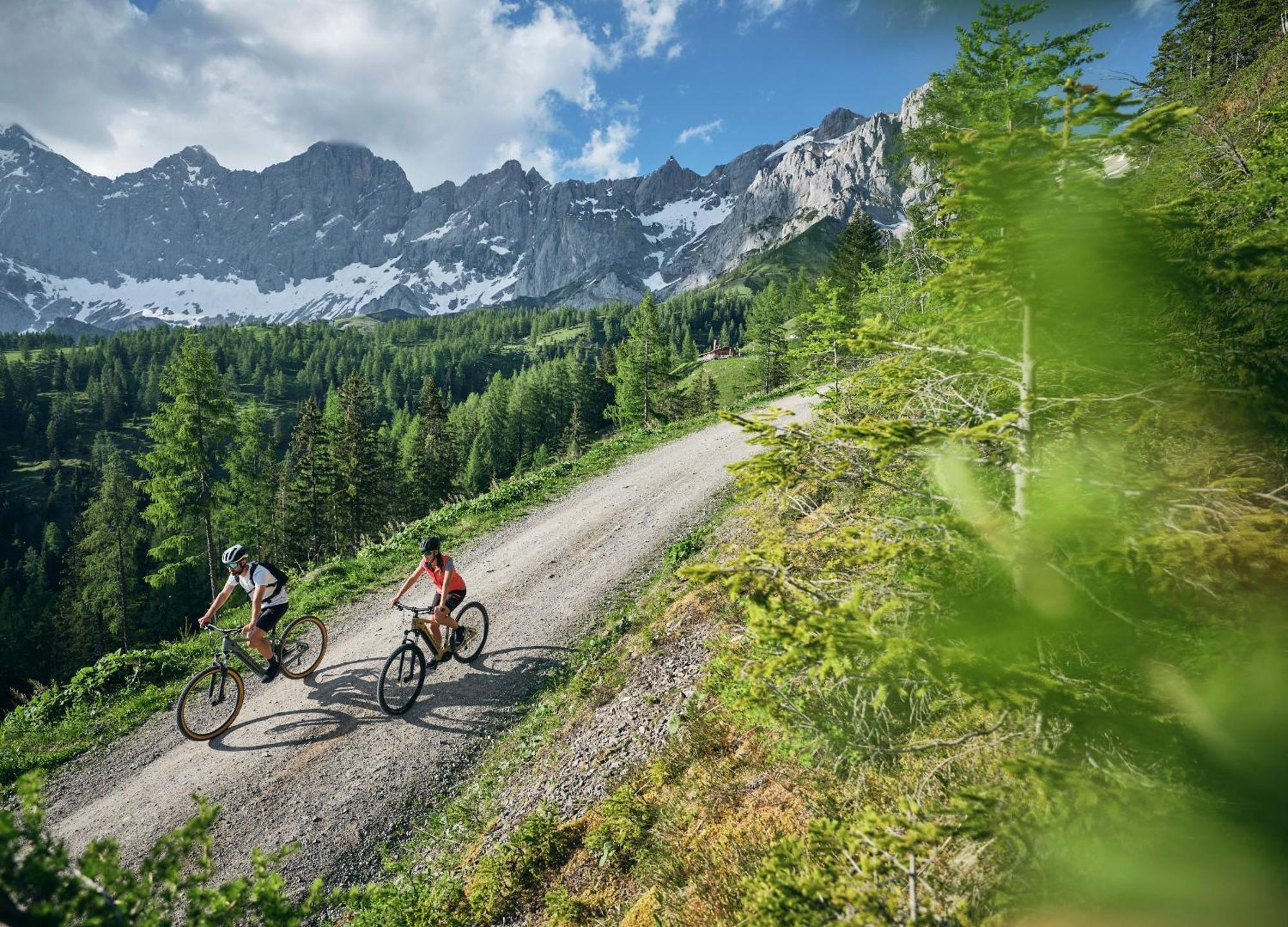 Luxury Chalets Gradenbach Near Schladming Haus im Ennstal Exteriör bild
